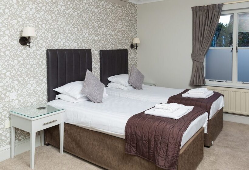 スタンダードルーム, The Dog & Bear