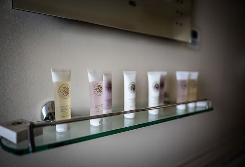 スタンダードシングルルーム, The Dog & Bear