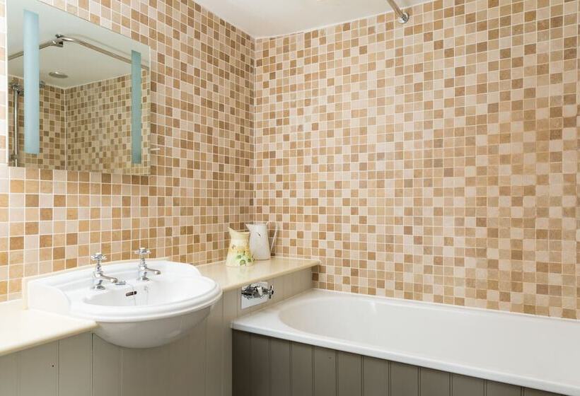 ファミリールーム, The Dog & Bear