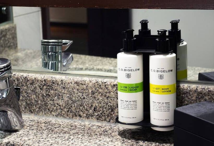 Camera Executive, Pullman Bangkok Hotel G