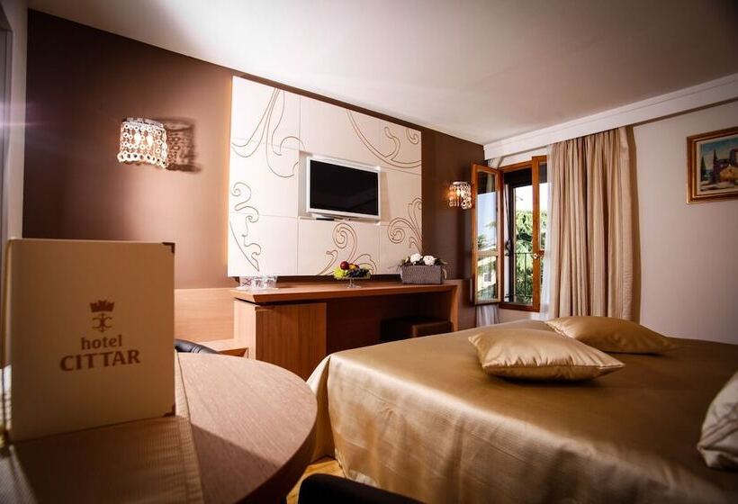 スタンダードルーム, Cittar