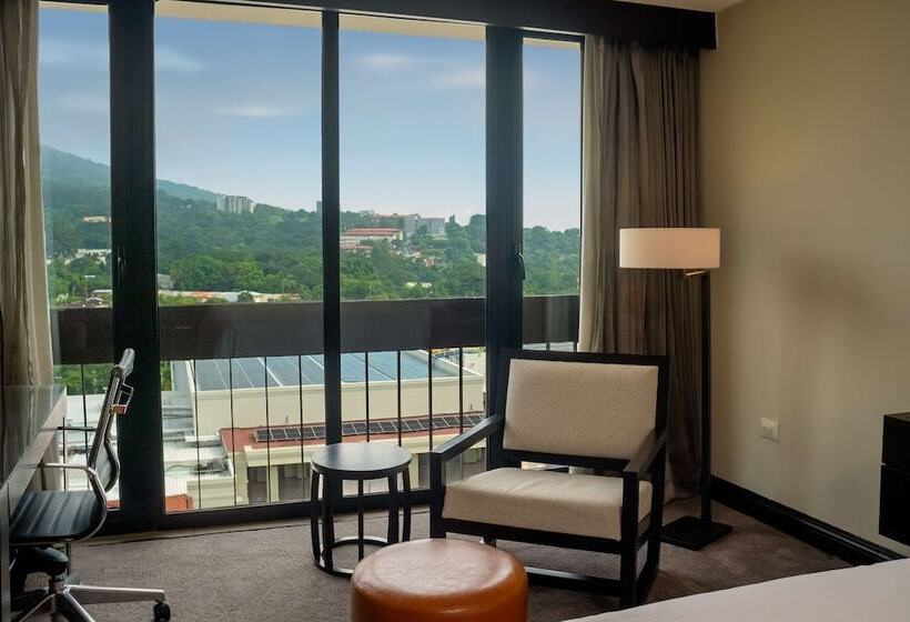 Номер Executive, Hilton San Salvador