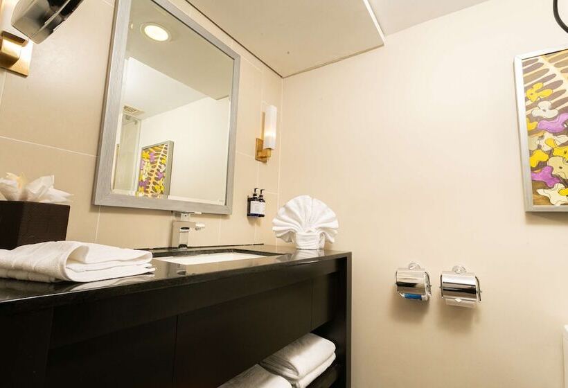 스탠다드 룸 더블 침대 2개, Hilton San Salvador