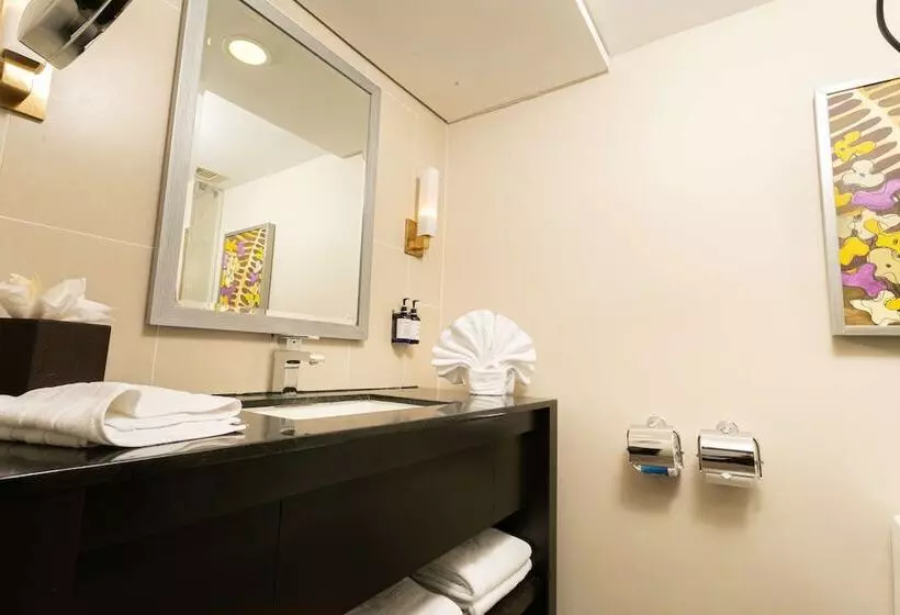 اتاق استاندارد با 2 تخت دوبل, Hilton San Salvador