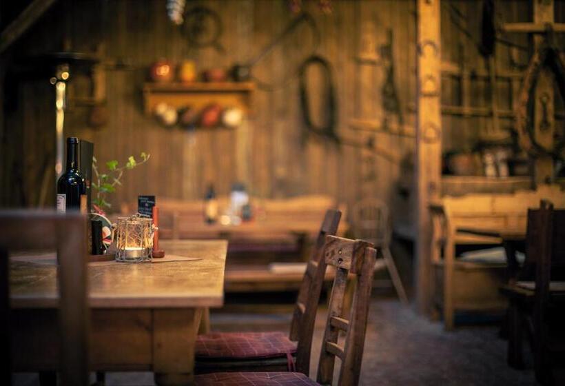 스탠다드 룸 킹사이즈 침대, Huber Panzió