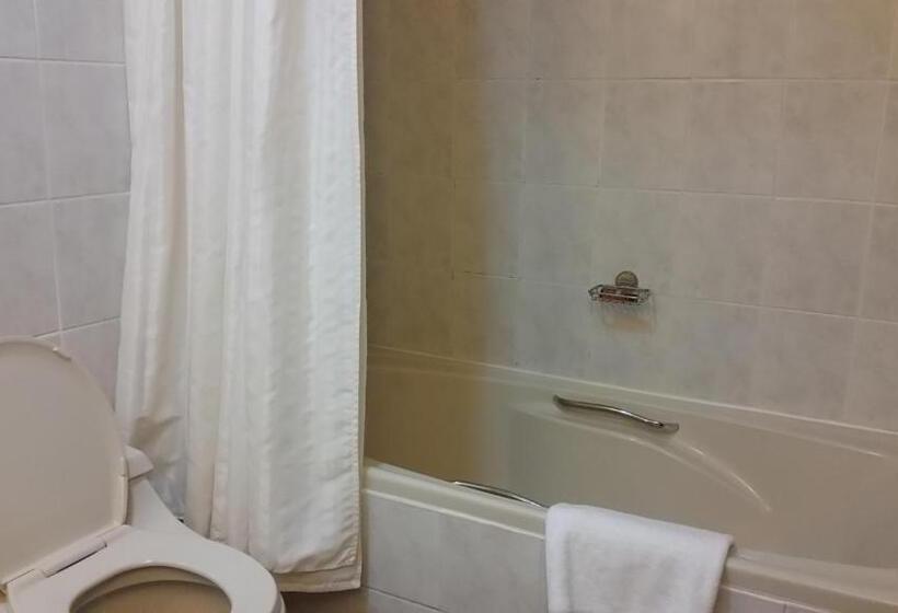 Классический Номер Вид на Море, Sheraton Khalidiya