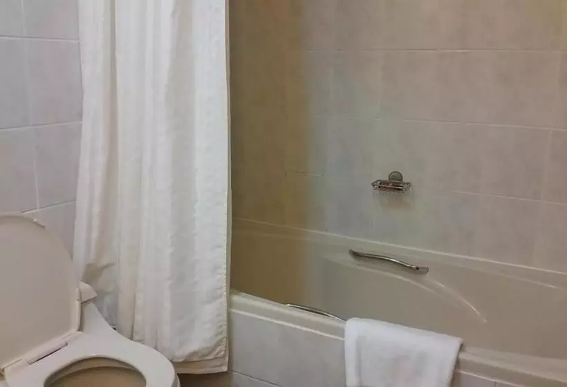 اتاق کلاسیک با چشم‌انداز دریا, Sheraton Khalidiya