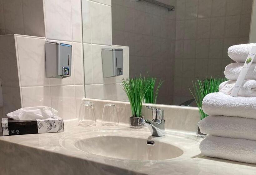 标准三人间, Akzent Congresshotel Hoyerswerda