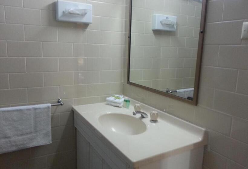 اتاق استاندارد, Big Valley Lakeside Paradise Motor Inn