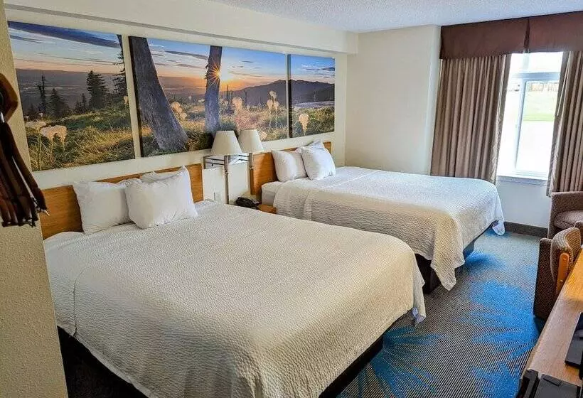 اتاق لوکس, Days Inn By Wyndham Great Falls