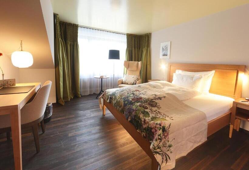 חדר סטנדרט יחיד, Hof Weissbad