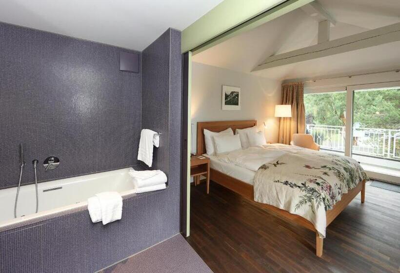 סוויטת ג'וניור עם מרפסת, Hof Weissbad