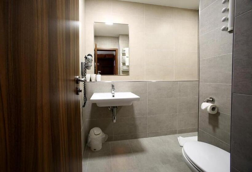 标准间带阳台, Roudna