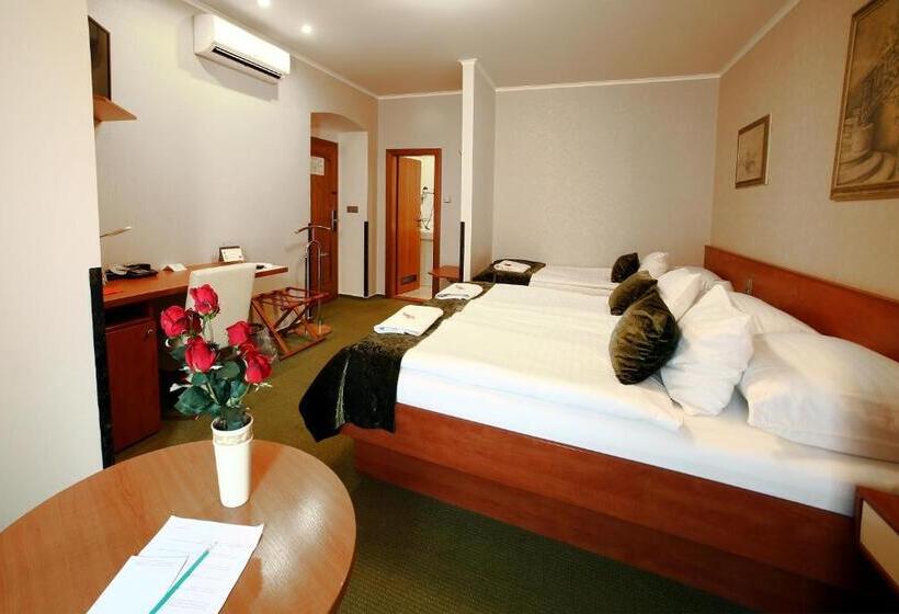 带阳台的三人标准间, Roudna