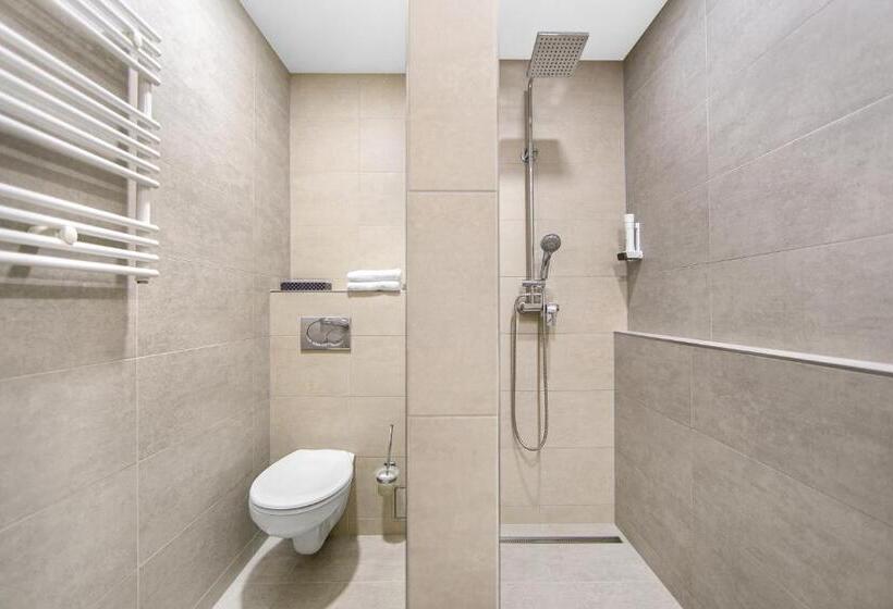 标准间带阳台, Roudna