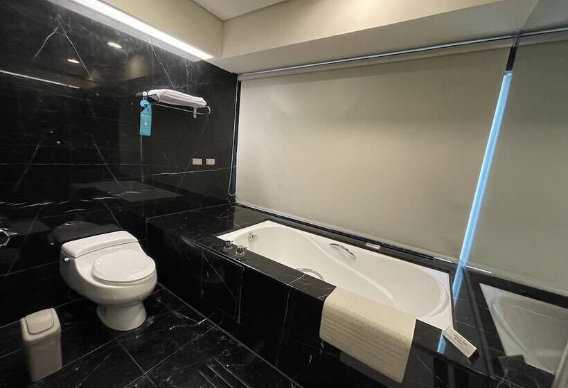 اتاق سوپریور, Tempus