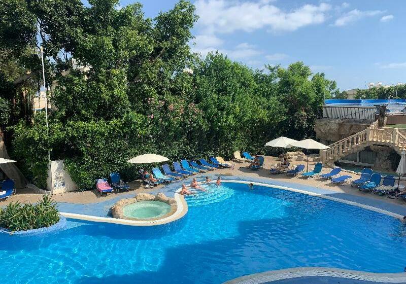 Номер Стандарт, Avlida