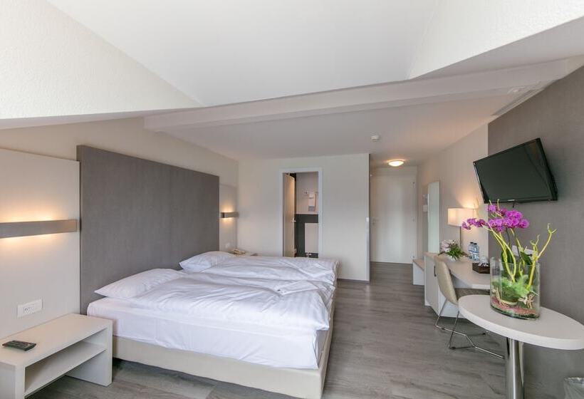 Номер Стандарт Вид на Озеро, Prealpina