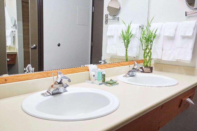 חדר סטנדרט עם מיטת קינג, Radisson Hotel Portland Airport