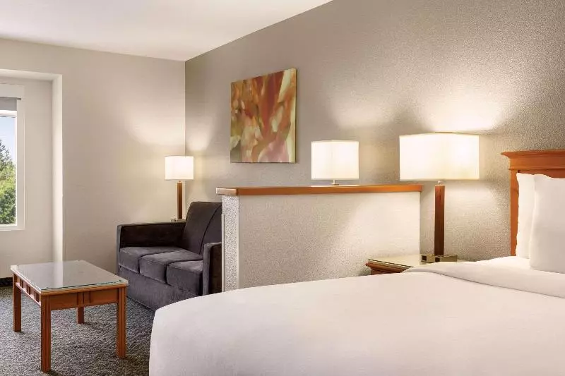 Standard-huone King-vuode, Radisson Hotel Portland Airport
