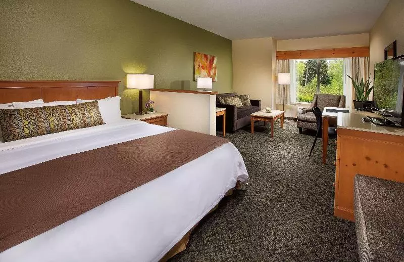 Standard-huone King-vuode, Radisson Hotel Portland Airport