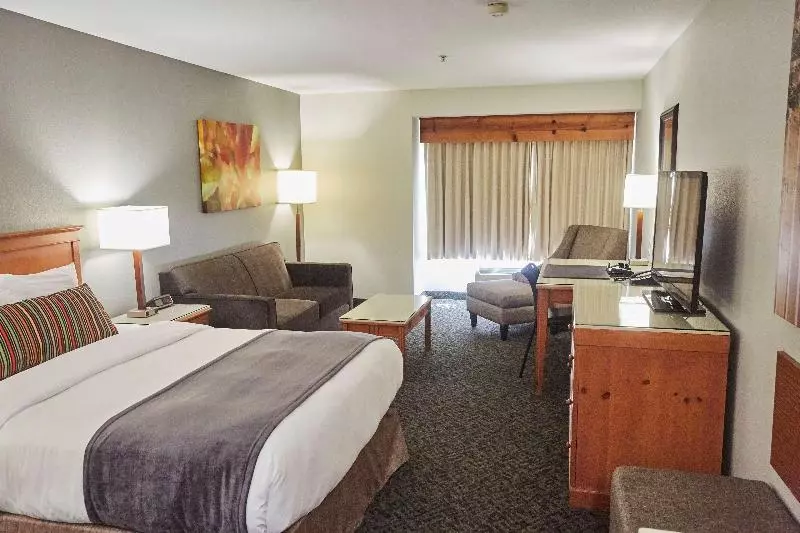 Standard-huone King-vuode, Radisson Hotel Portland Airport