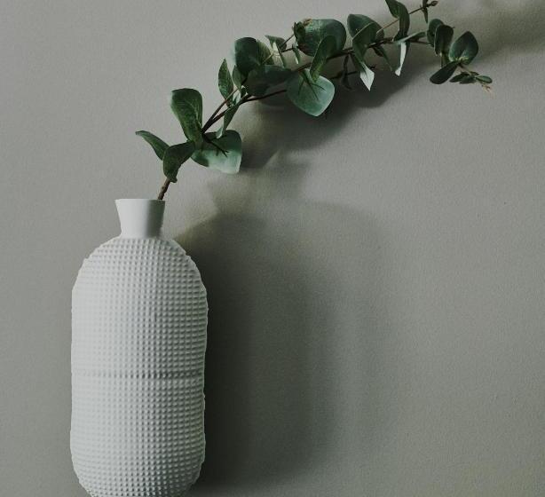 غرفة ديلوكس, The Cambrian