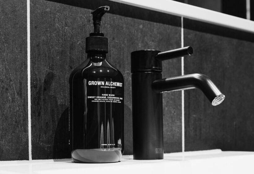 غرفة ديلوكس, The Cambrian