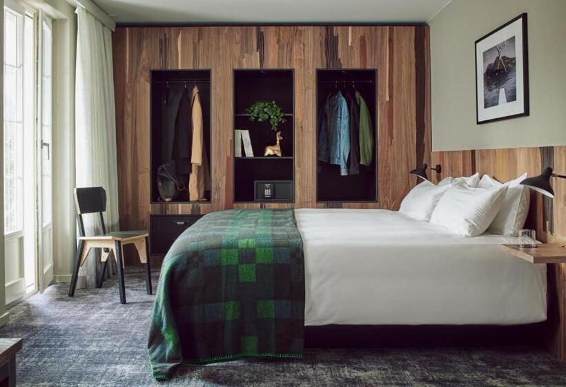 جناح, The Cambrian