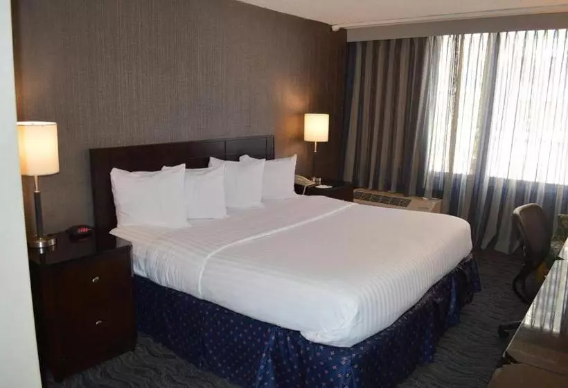 身障者適用キングサイズベッドルーム, Best Western Grant Park