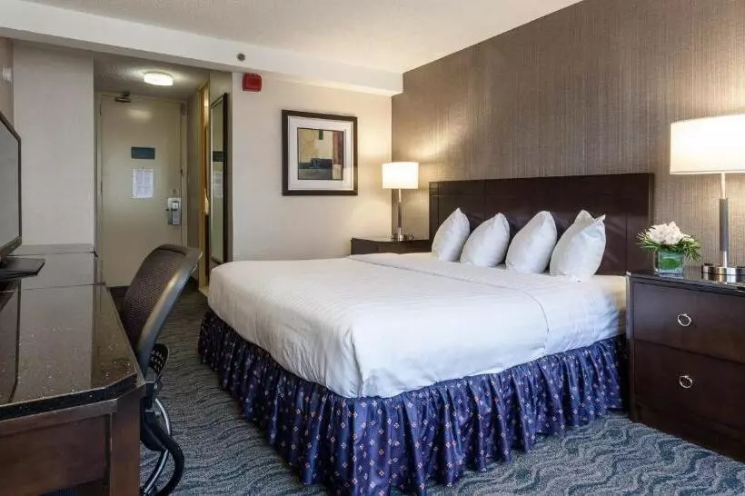 身障者適用キングサイズベッドルーム, Best Western Grant Park