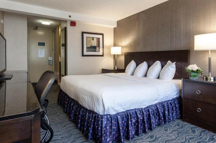 Quarto standard, Best Western Grant Park
