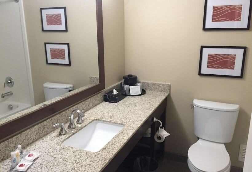 ２ダブルベッドのスタンダードルーム, Comfort Inn Msp Airport  Mall Of America