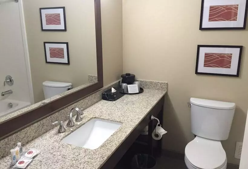 اتاق استاندارد با 2 تخت دوبل, Comfort Inn Msp Airport  Mall Of America
