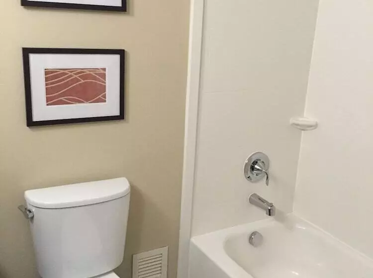 اتاق استاندارد با 2 تخت دوبل, Comfort Inn Msp Airport  Mall Of America
