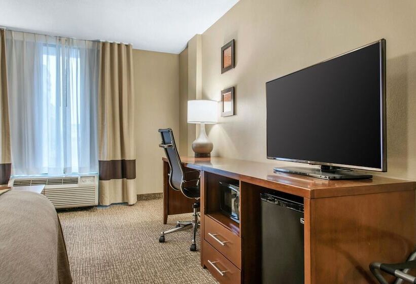 ２ダブルベッドのスタンダードルーム, Comfort Inn Msp Airport  Mall Of America