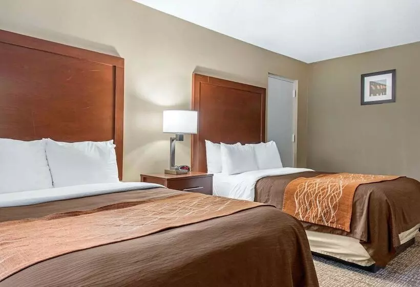 اتاق استاندارد با 2 تخت دوبل, Comfort Inn Msp Airport  Mall Of America