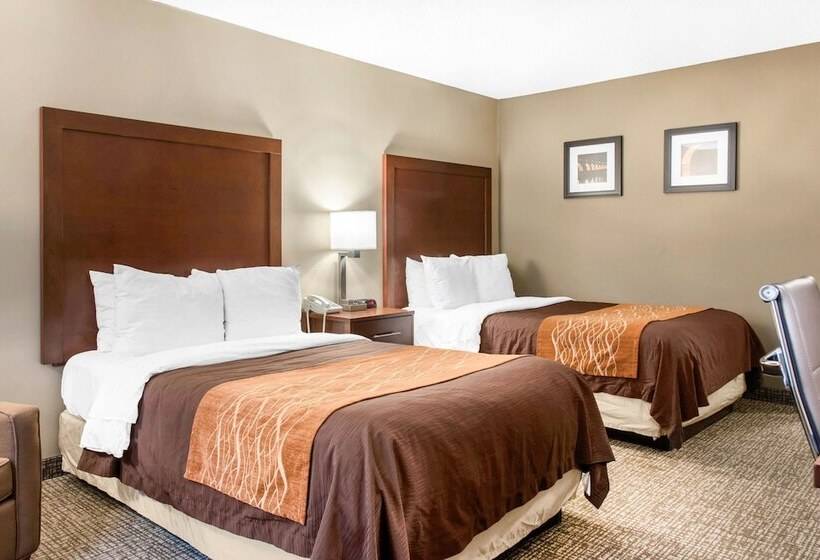 ２ダブルベッドのスタンダードルーム, Comfort Inn Msp Airport  Mall Of America