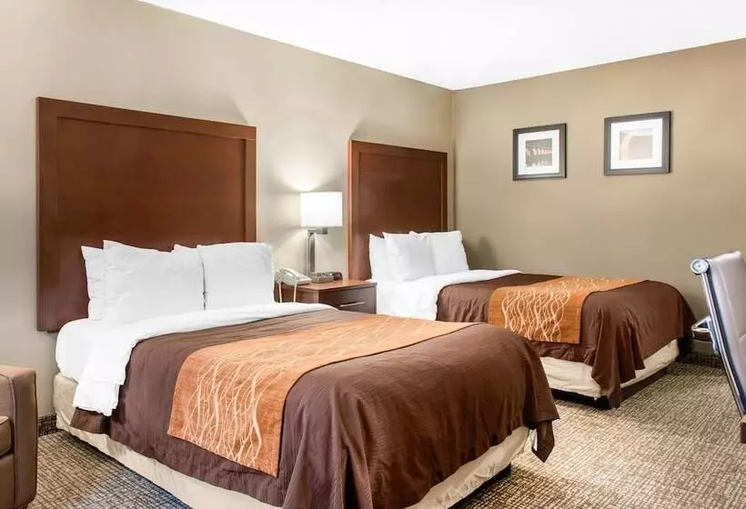 اتاق استاندارد با 2 تخت دوبل, Comfort Inn Msp Airport  Mall Of America