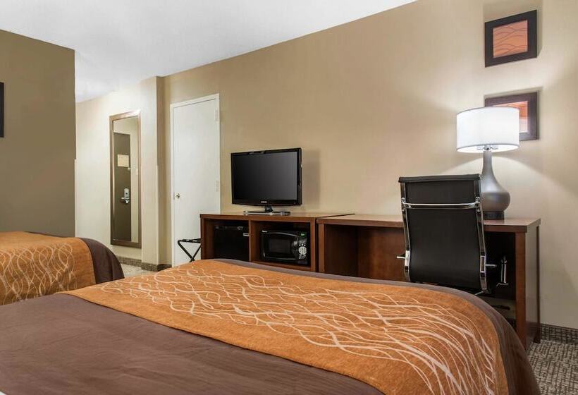 ２ダブルベッドのスタンダードルーム, Comfort Inn Msp Airport  Mall Of America