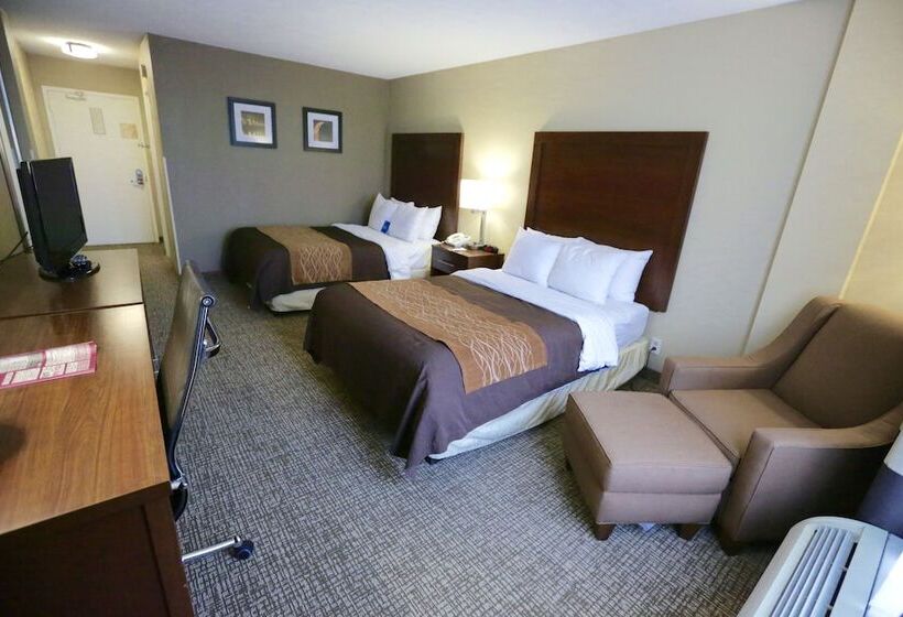 ２ダブルベッドのスタンダードルーム, Comfort Inn Msp Airport  Mall Of America
