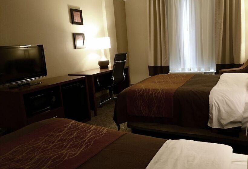 ２ダブルベッドのスタンダードルーム, Comfort Inn Msp Airport  Mall Of America