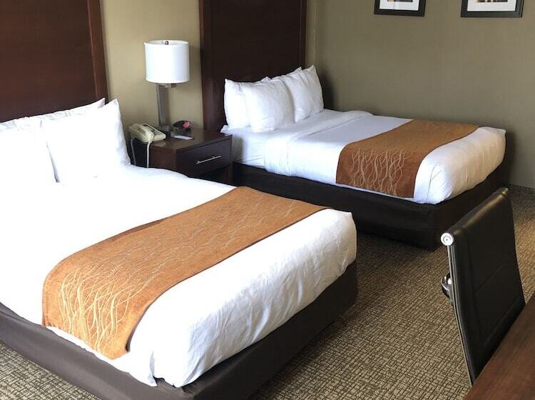 ２ダブルベッドのスタンダードルーム, Comfort Inn Msp Airport  Mall Of America