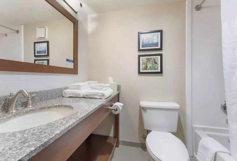 Standard-huone Parivuode, Comfort Inn & Suites