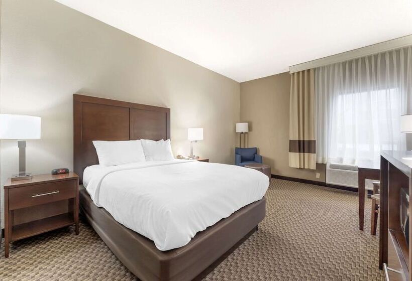 标准间带双人床, Comfort Inn & Suites