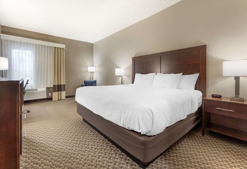غرفة قياسية سرير مزدوج, Comfort Inn & Suites