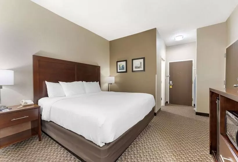Standard-huone Parivuode, Comfort Inn & Suites