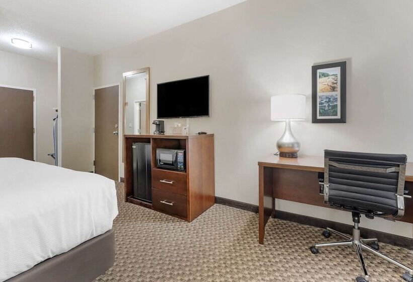 غرفة قياسية سرير مزدوج, Comfort Inn & Suites