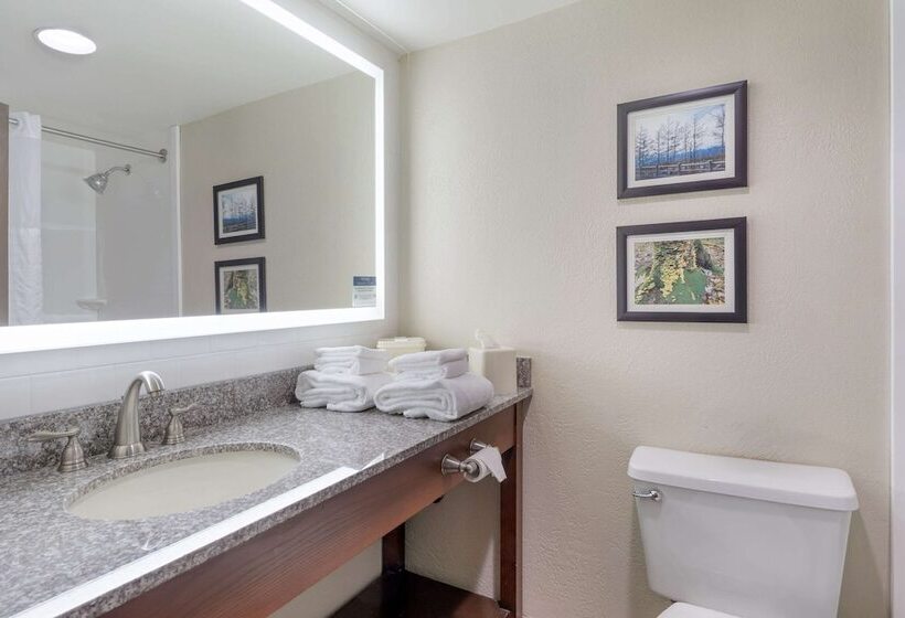 带2个双人床的标准工作室, Comfort Inn & Suites