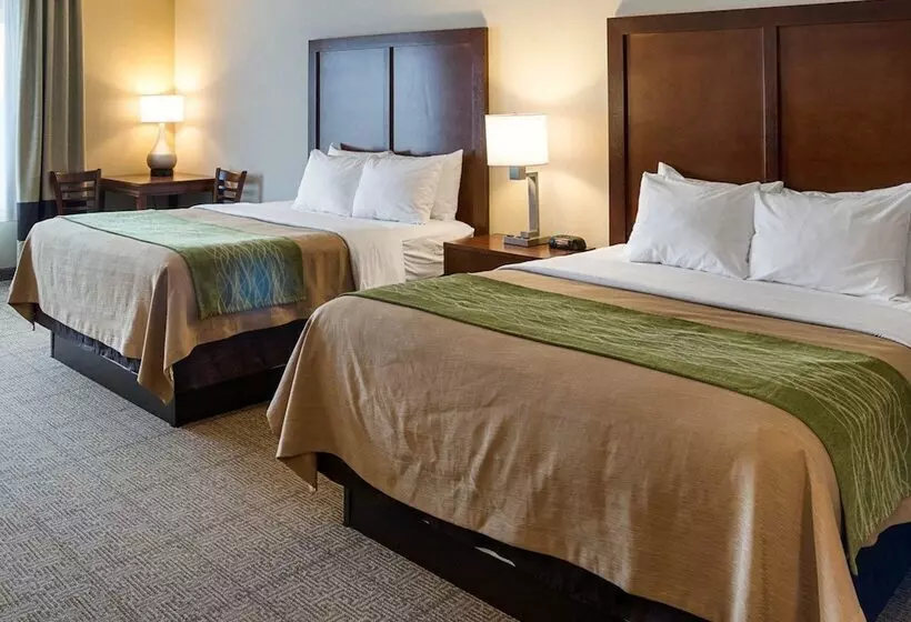 سوییت, Comfort Inn West